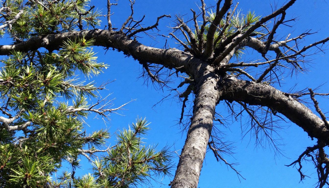découvrez notre sélection des 5 meilleurs plombiers à la rochelle, des professionnels fiables et expérimentés pour tous vos besoins en plomberie.